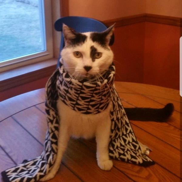 /images/uploads/griffin pond animal shelter/loveyourpet2018/entries/6546thumb.jpg